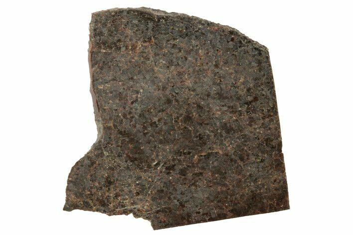 El Médano () Brachinite Meteorite Slice ( g) - Chile #249944